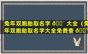 兔年双胞胎取名字 🐴 大全（兔年双胞胎取名字大全免费查 🌹 询）